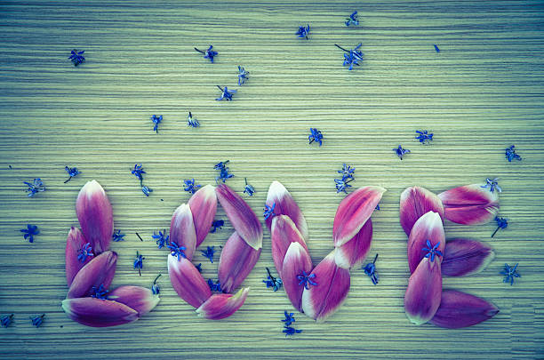istock word LOVE from flower petals 467216294