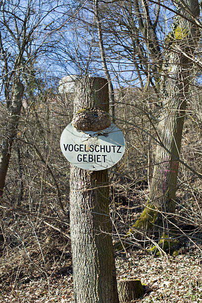 istock German sign bird sanctuary (Vogelschutzgebiet) 467216562