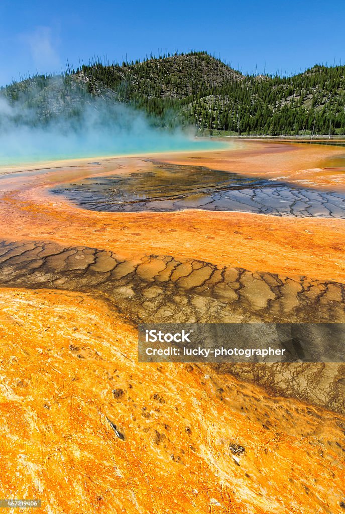 The World Famous Grand Prismatic Spring in Yellowstone National Park 2015 Stock Photo