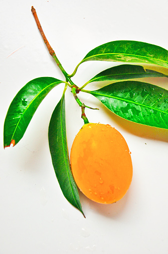 Maprang Marian Plum and Plum Mango on white background