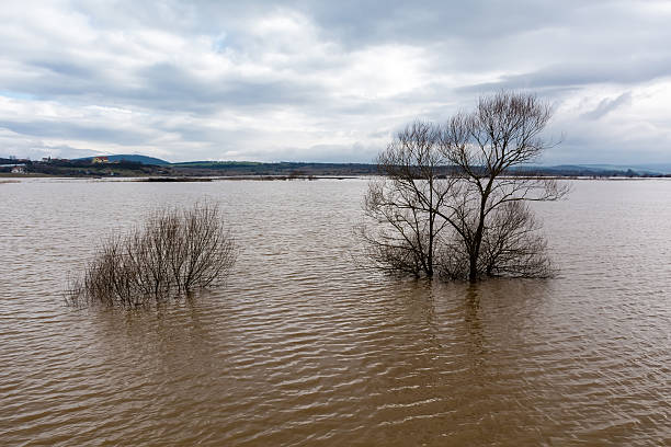 istock Flood - a natural phenomenon. Spilled lake submerged fields 467223172