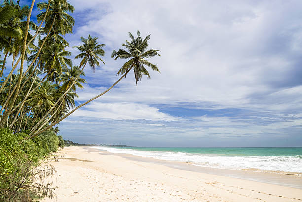 istock Untouched tropical beach in Sri Lanka 467223388