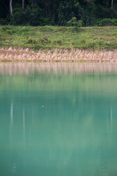 istock Erosion of soil. 467224271