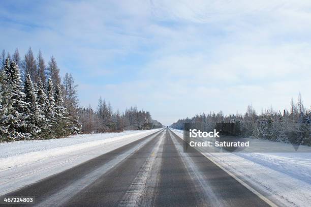 Droga Przez Nas Zimą Północnej - zdjęcia stockowe i więcej obrazów Bez ludzi - Bez ludzi, Bór sosnowy, Droga dwupasmowa