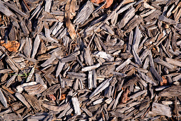 istock background of wood 467224807