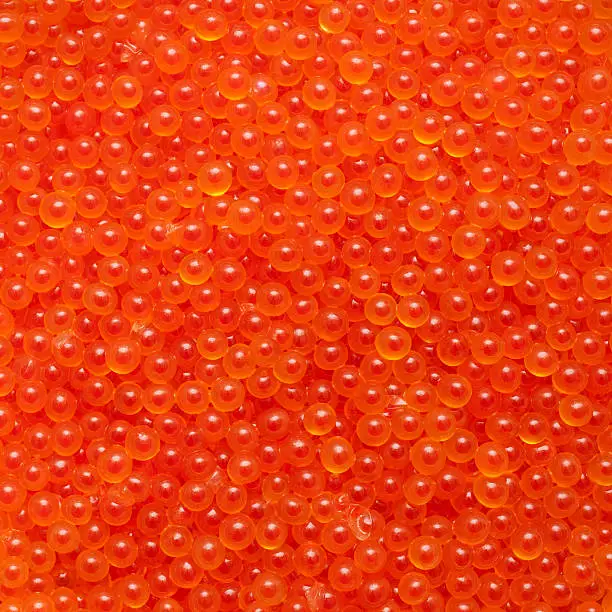 Close-up image of fresh Japanese salmon roe caviar