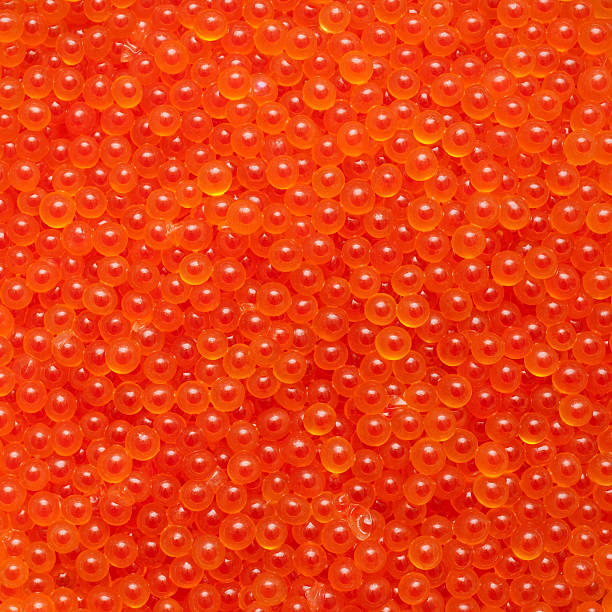 close-up de caviar de ovas de salmão fresco - japanese cuisine appetizer gourmet caviar - fotografias e filmes do acervo