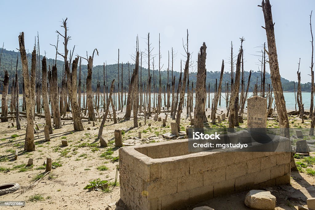 cemetery cemetery wit death trees 2015 Stock Photo