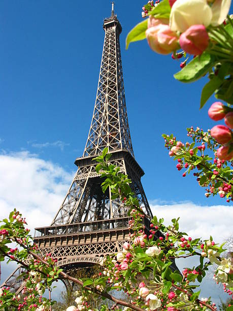 Paris, France - Eiffel Tower