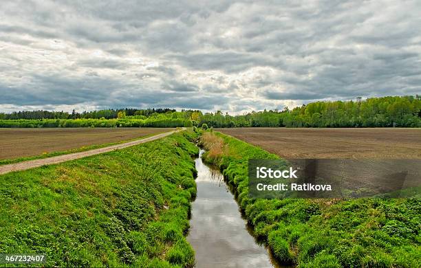 Ditch On The Field Stock Photo - Download Image Now - Agricultural Field, Agriculture, Aqueduct