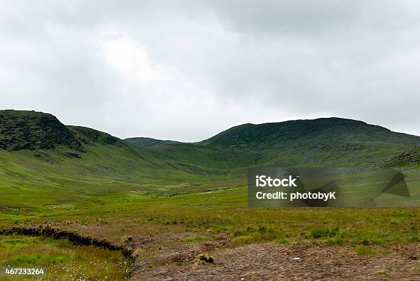 Irish Prato - Fotografie stock e altre immagini di 2015 - 2015, Ambientazione esterna, Ampio