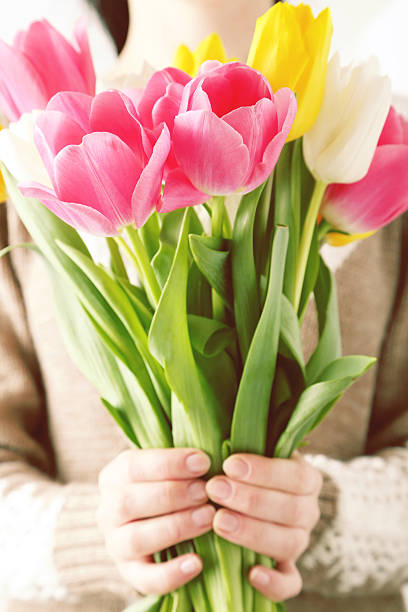 istock Female hands holding beautiful colorful tulips 467233522