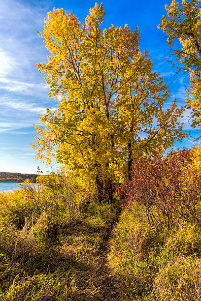 istock Autumn Colors by the River 467237835