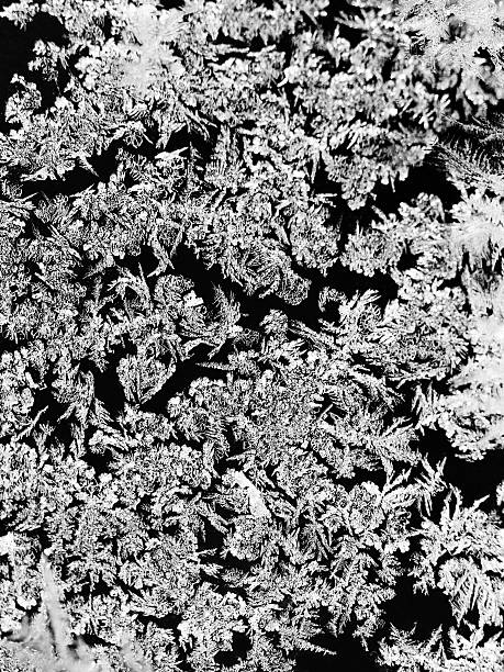 istock snowflakes and frost pattern on glass close up 467238039