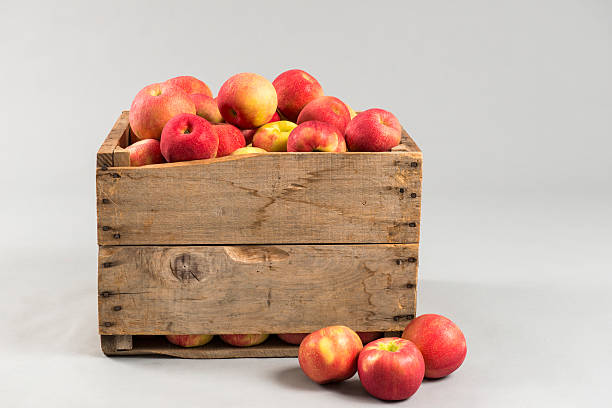 Woodern crate full of apples stock photo