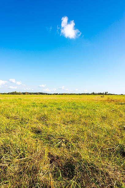 istock Clouds floating over the meadow beyond the horizon 467238904