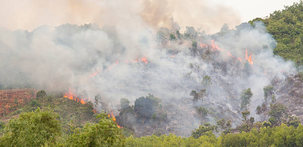 istock Starting forrest fire with lots of smoke 467242615