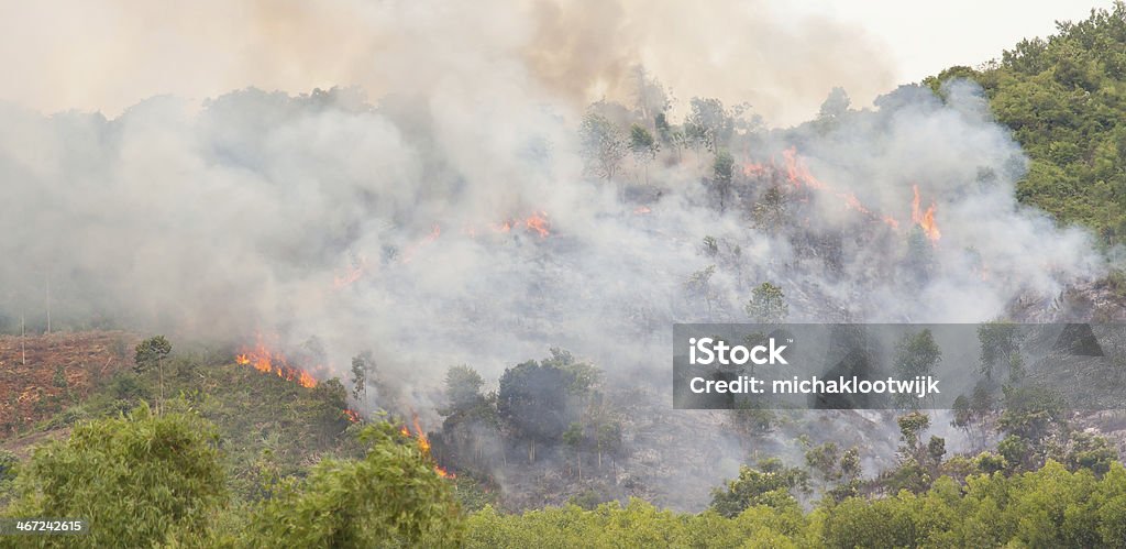 Starting forrest fire with lots of smoke Starting forrest fire with lots of smoke, Vietnam Asia Stock Photo