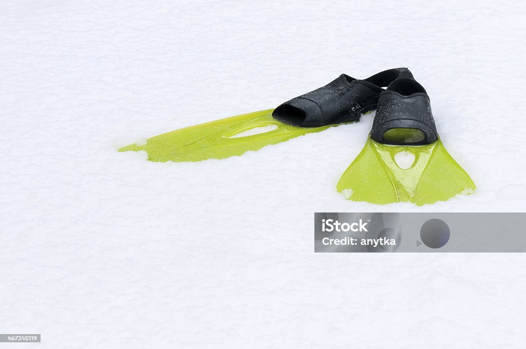 Flippers yacer en la nieve - Foto de stock de Aire libre libre de derechos