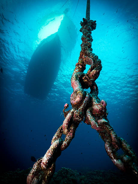istock Ocean Boat Anchor Chain, Coral, Hawaiian, Underwater 467248126