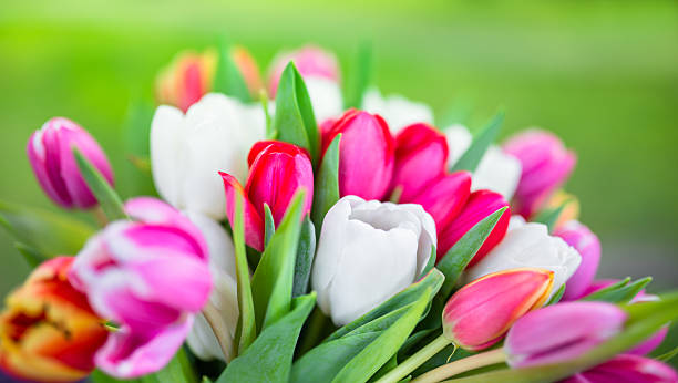 istock colorful tulips bouquet 467248244