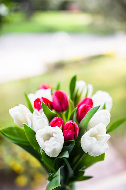 istock colorful tulips bouquet 467248252