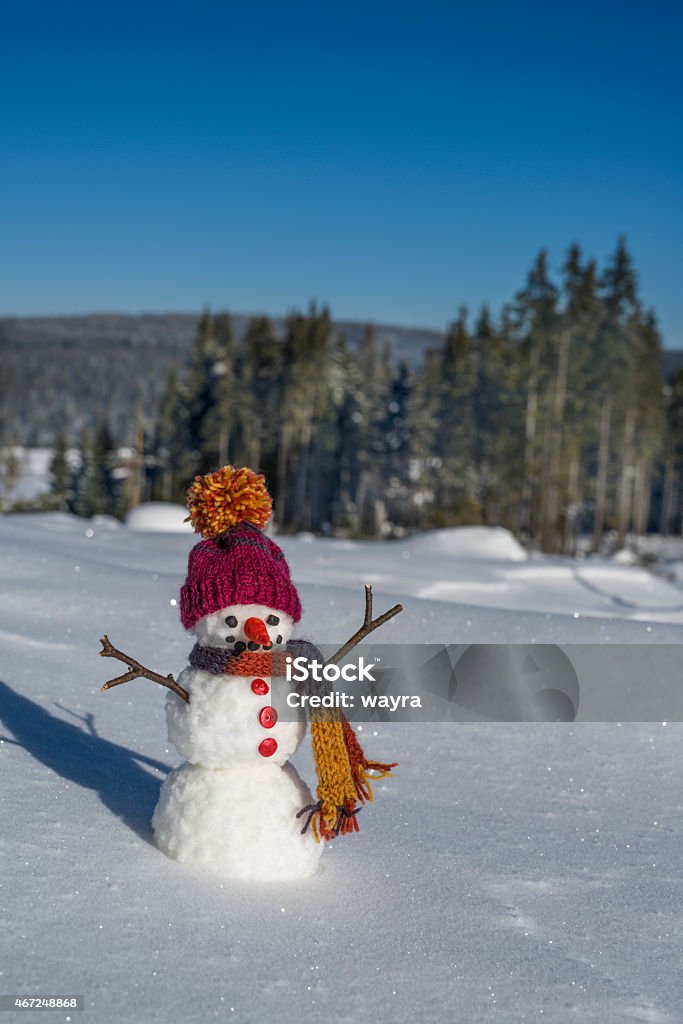 One snowman Funny snowman having fun winter in landscape 2000-2009 Stock Photo