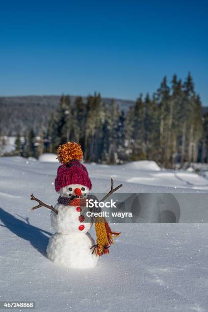 One Snowman Stock Photo - Download Image Now - 2000-2009, 2015, 21st Century