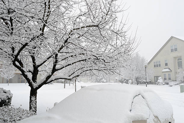 istock Neighbourhood during Snowstorm 467250683