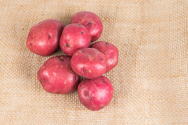 peau de pomme de terre rouge - root vegetable raw potato human skin root photos et images de collection