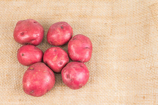 peau de pomme de terre rouge - root vegetable raw potato human skin root photos et images de collection