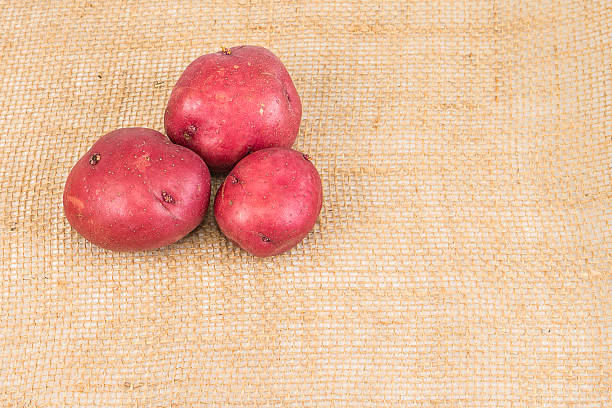 peau de pomme de terre rouge - root vegetable raw potato human skin root photos et images de collection