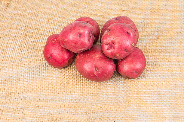 peau de pomme de terre rouge - root vegetable raw potato human skin root photos et images de collection