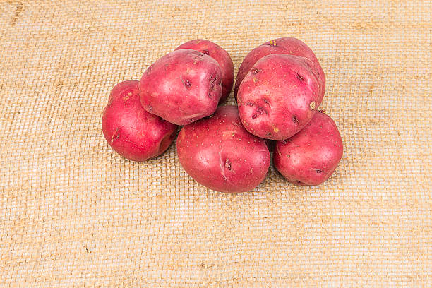 czerwona skin ziemniaki - root vegetable raw potato human skin root zdjęcia i obrazy z banku zdjęć