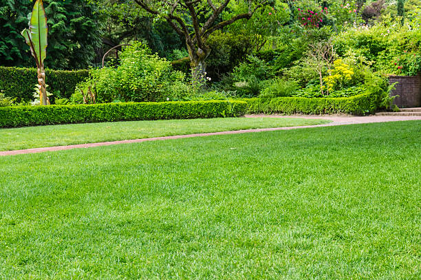 istock Grassy lawn and planted beds in a garden 467252326