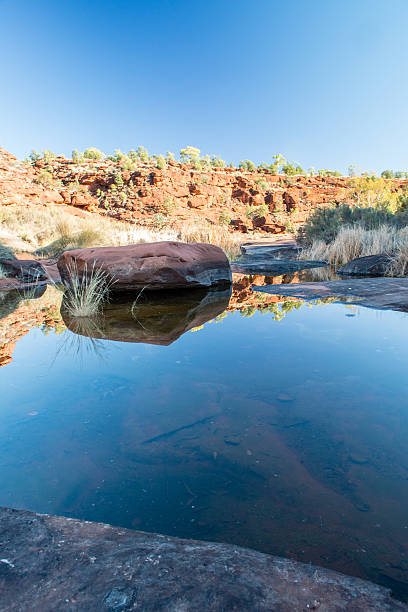istock Rock pools and Red Palms, Palm Valley, Finke National Park 467252912
