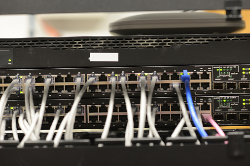 Network cables is plugged into a operational network server. Ocean news.