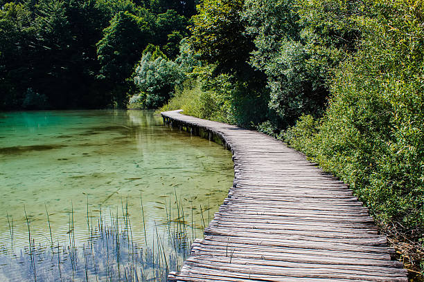 istock wooden walkway surrounded with crystal clear water and trees 467254046