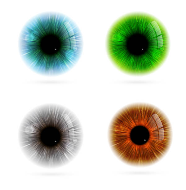 цвет глаз человека - eyeball iris human eye macro stock illustrations