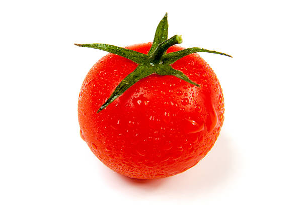 fresh tomatoe stock photo