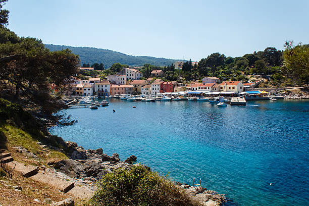 istock village bay on the island covered with forrest 467260996