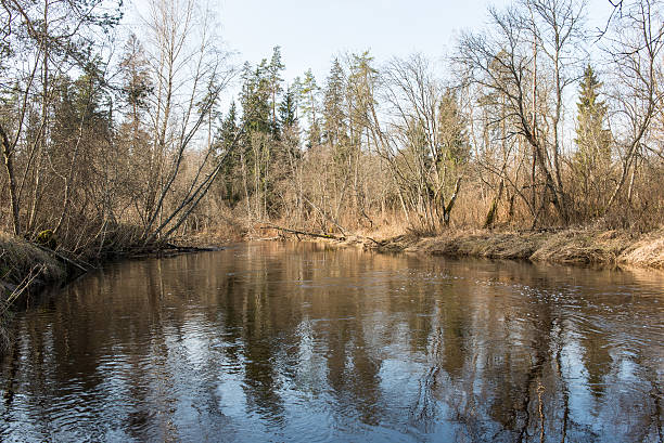 istock scenic spring colored river in country 467261416