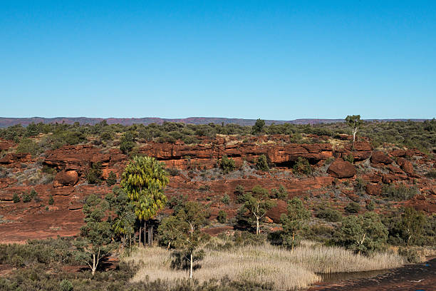 istock Palm Valley Landscape, Finke National Park, Northern Territory 467261696