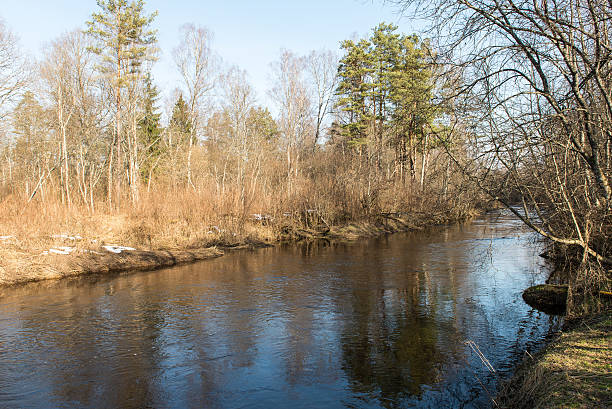 istock scenic spring colored river in country 467261790