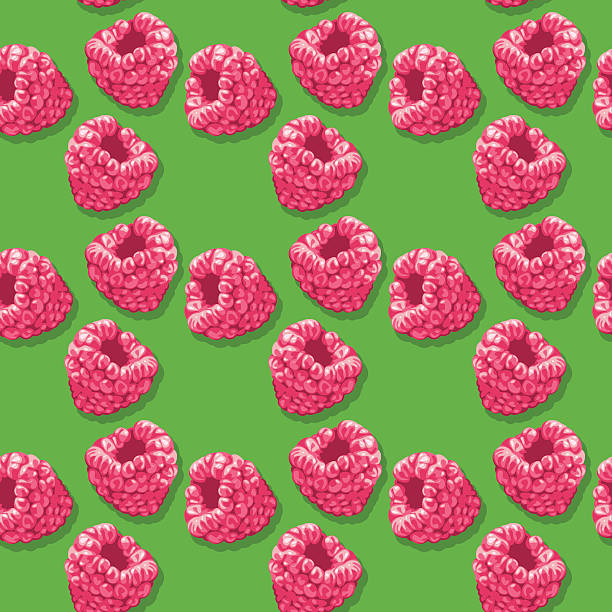 maliny (bezszwowe wzór w stylu pop-art) - raspberry berry fruit fruit backgrounds stock illustrations