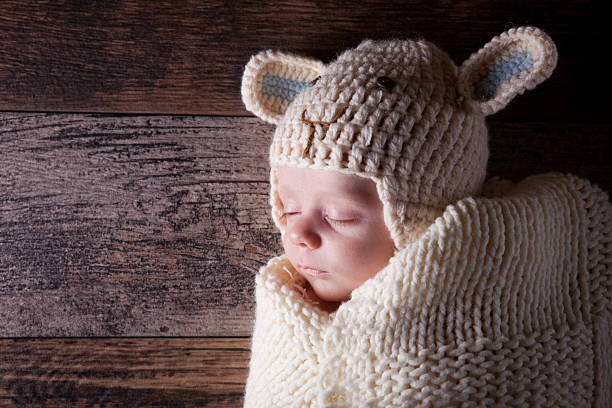 Sleeping Little Baby Lamb