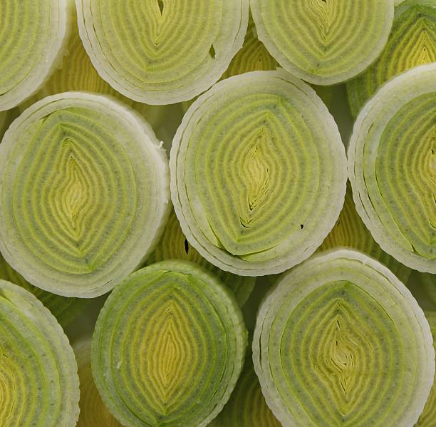 istock Slices of leek 467276259