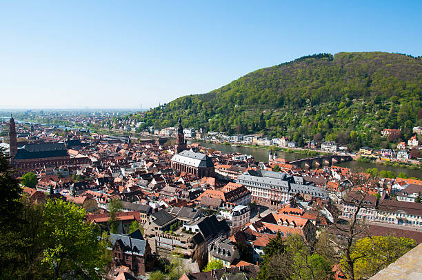 heidelberg, sur la colline et le vieux pont sur la rivière neckar - heidleberg photos et images de collection