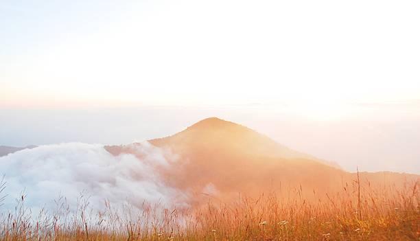istock The Sea of Mist  over sunset sky. (Lanscape) 467278989