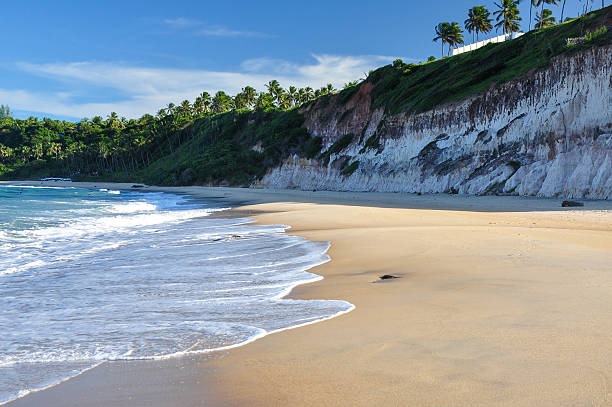 istock Beach of Pipa, Natal (Brazil) 467280961